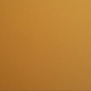 Meet your Posher, Joanna